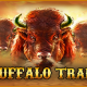 Buffalo Trail
